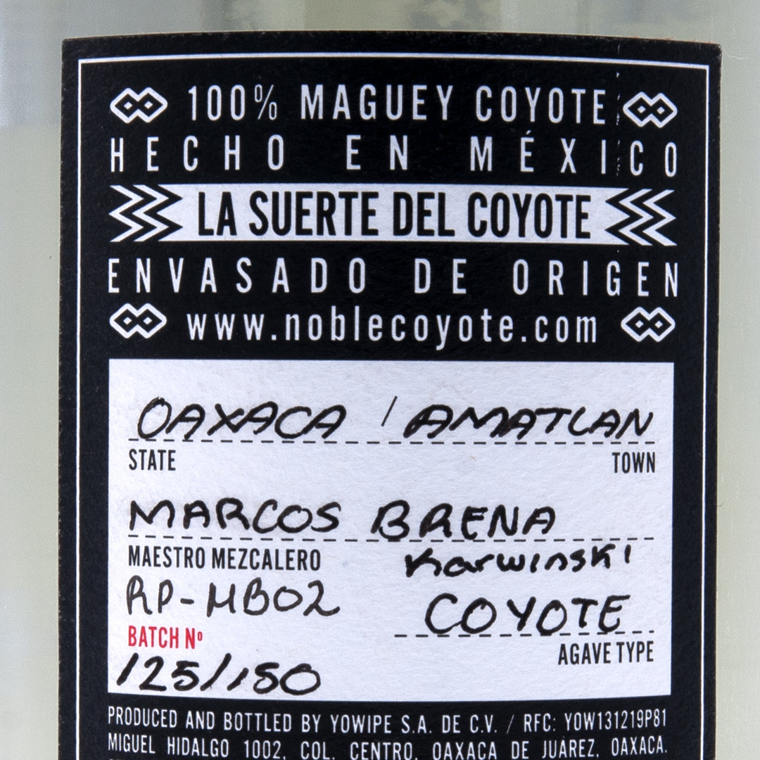 Noble Coyote - Coyote – Madre.Shop
